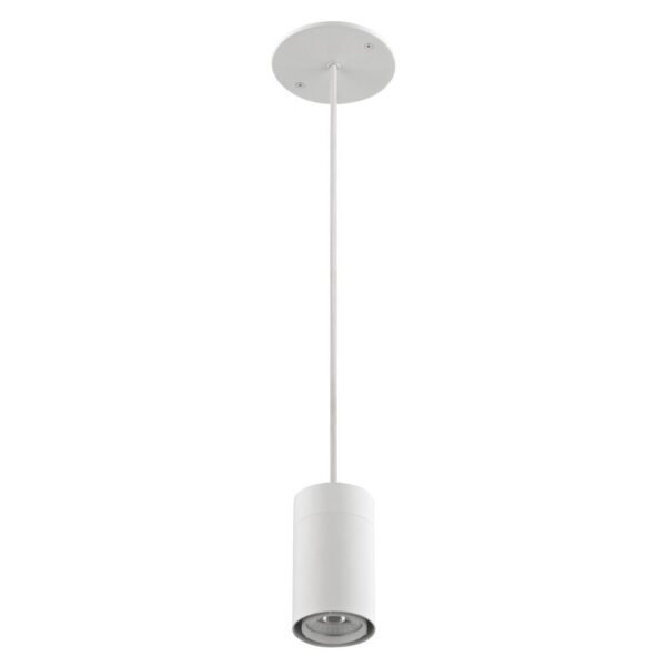 PENDENT/SURFACE MOUNTED LIGHT - 24W OPTO RD (PENDENT)