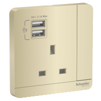 SWITCHES AND SOCKETS- SCHNEIDER- 13A single switched socket with 2x2.1A USB