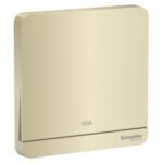 SWITCHES AND SOCKETS - SCHNEIDER- 45A 1 Gang DP with Neon & Earth - Image 3