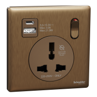 SWITCHES AND SOCKETS-SCHNEIDER-16A 1 Gang International socket with USB