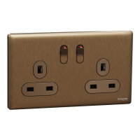 SWITCHES AND SOCKETS- SCHNEIDER-13A 250V 2 Gang Double Pole Switched Socket