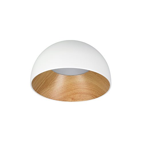 Ceiling Lights